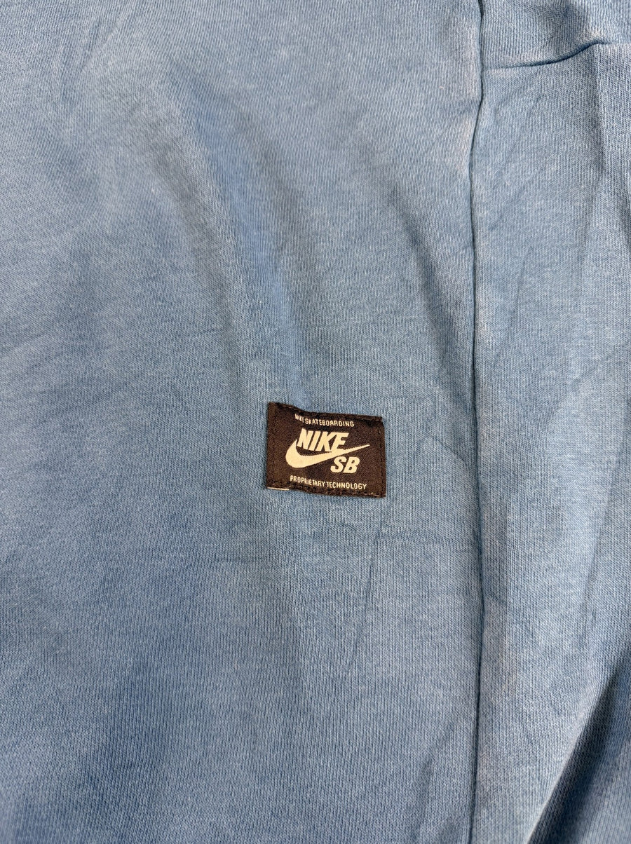 Blauwe Nike SB hoodie met 'Established 2001' print (capuchonsweater / sweatvest), maat L